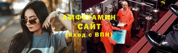 прущие грибы Аркадак
