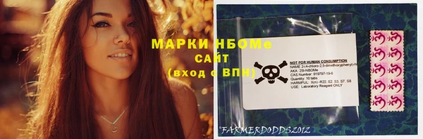прущие грибы Аркадак
