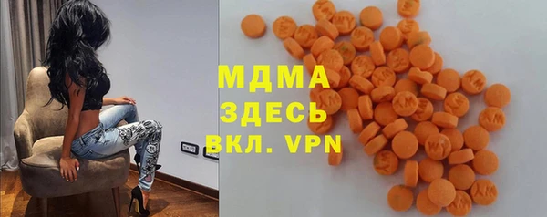 прущие грибы Аркадак