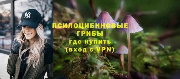 ECSTASY Армянск